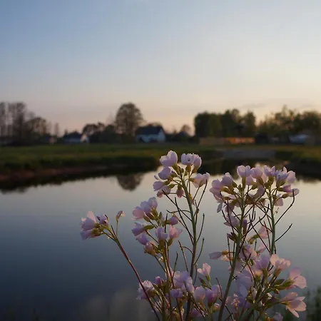 Drewniany Zakatek Z Sauna I Jacuzzi