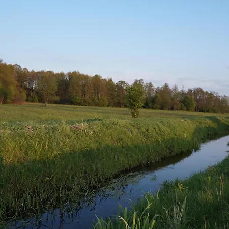 Drewniany Zakatek Z Sauna I Jacuzzi Jadow