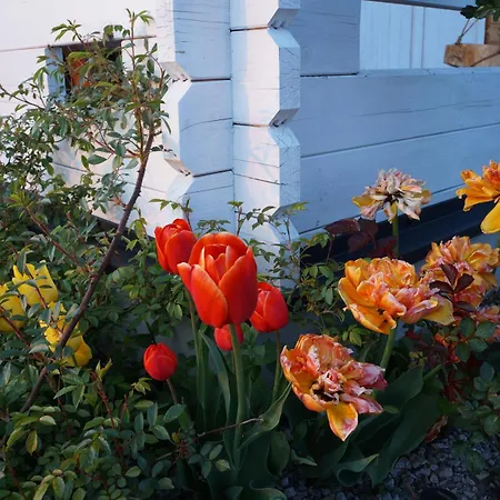 Drewniany Zakatek Z Sauna I Jacuzzi *