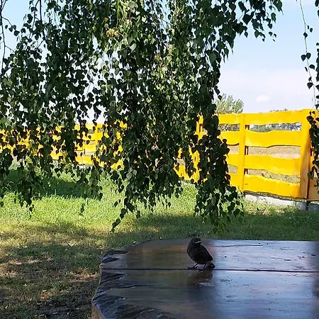 Prázdninový dům Drewniany Zakatek Z Sauna I Jacuzzi *