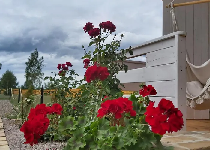 Dom wakacyjny Drewniany Zakątek Z Sauną I Jacuzzi *