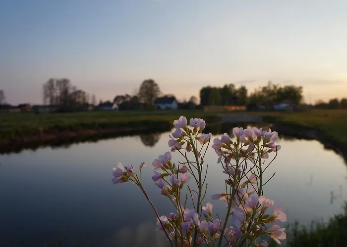 Drewniany Zakątek Z Sauną I Jacuzzi