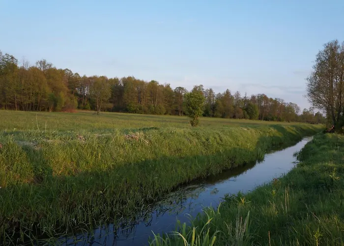 Drewniany Zakątek Z Sauną I Jacuzzi Jadow
