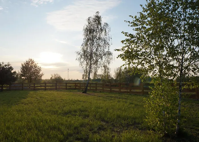 Dom wakacyjny Drewniany Zakątek Z Sauną I Jacuzzi *
