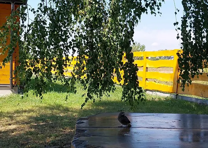 Dom wakacyjny Drewniany Zakątek Z Sauną I Jacuzzi *